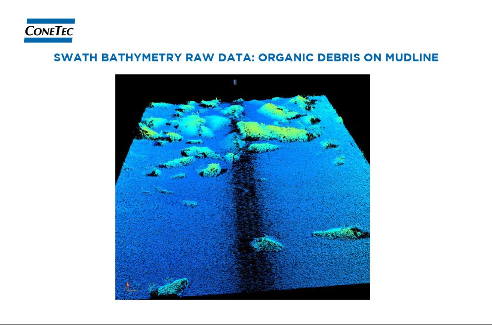 Sonar Figure and Data 03.jpg